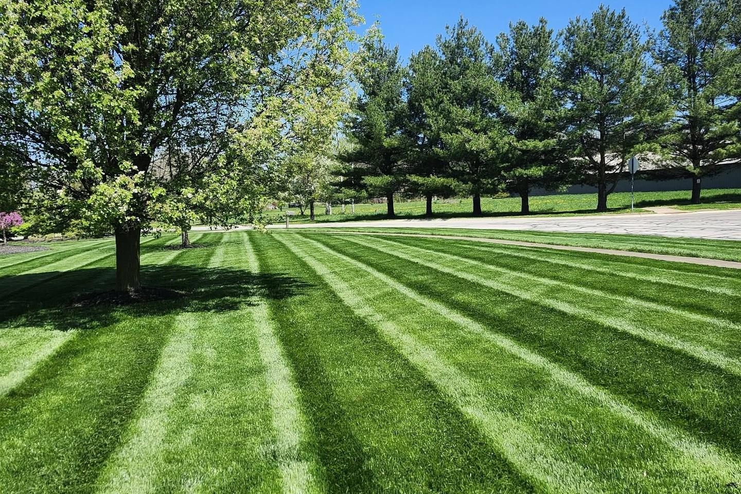 A Northeast Ohio lawn freshly mowed by Clean Fleet with clean, professional mowing stripes
